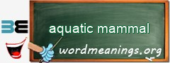 WordMeaning blackboard for aquatic mammal